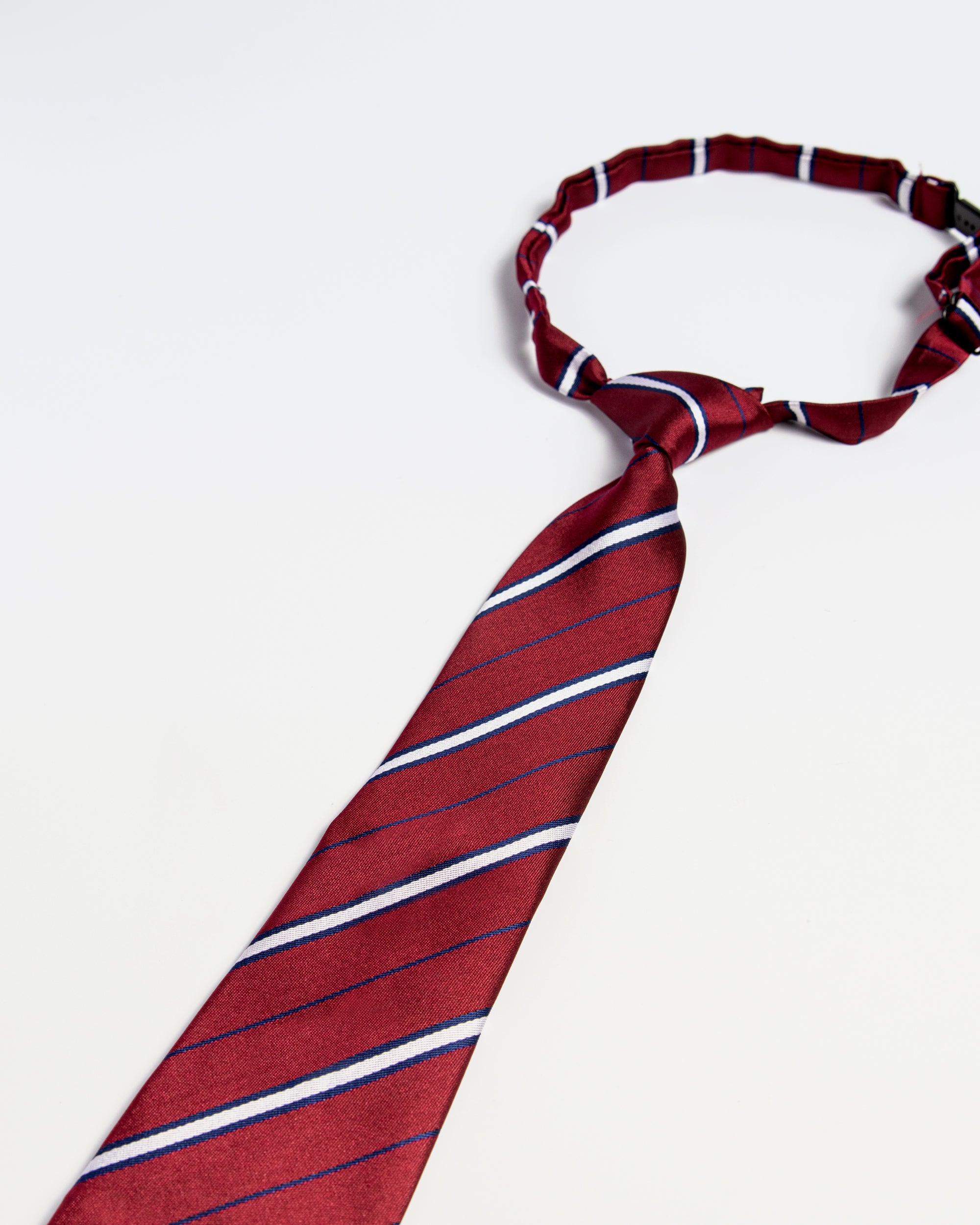 The Gentleman's Tie